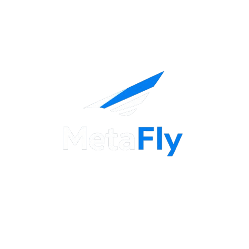 MetaFly logo
